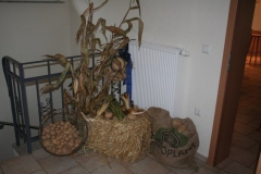 Kartoffelfest_2009__7